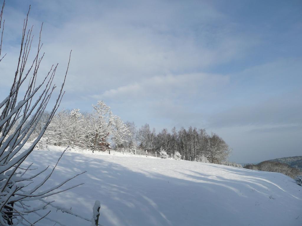 Au Palton Bed & Breakfast Raon-aux-Bois Eksteriør bilde