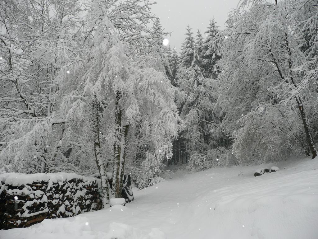 Au Palton Bed & Breakfast Raon-aux-Bois Eksteriør bilde